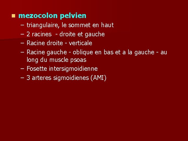 n mezocolon pelvien – – triangulaire, le sommet en haut 2 racines - droite