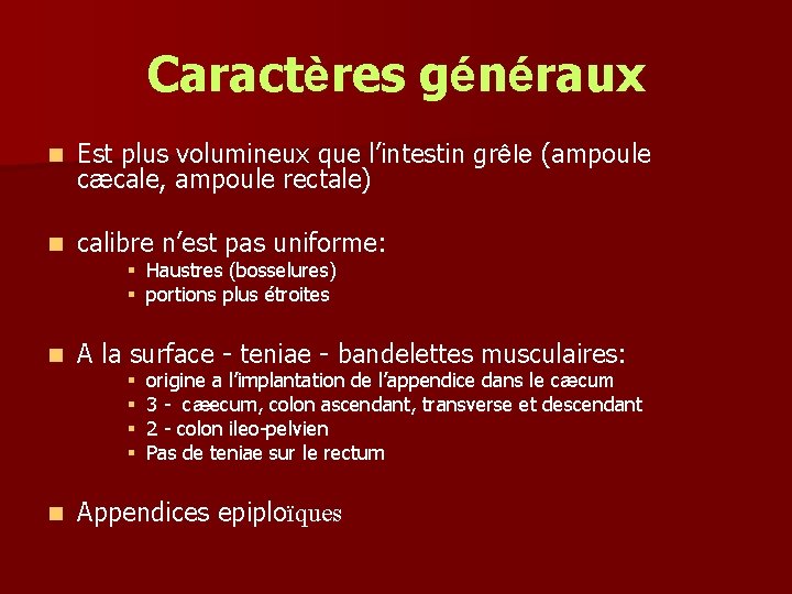 Caractères généraux n Est plus volumineux que l’intestin grêle (ampoule cæcale, ampoule rectale) n