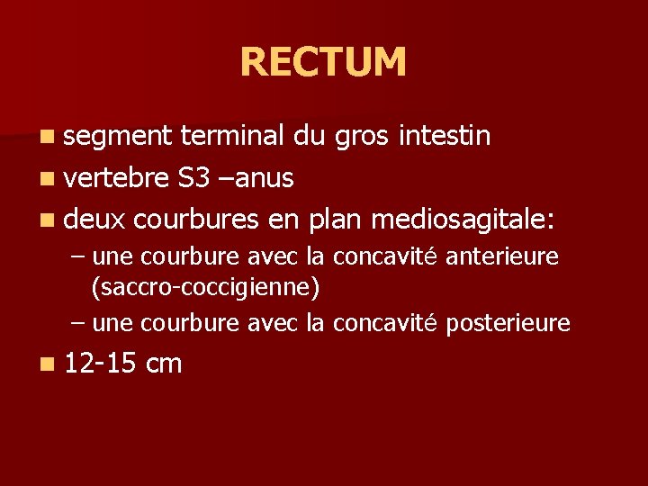 RECTUM n segment terminal du gros intestin n vertebre S 3 –anus n deux