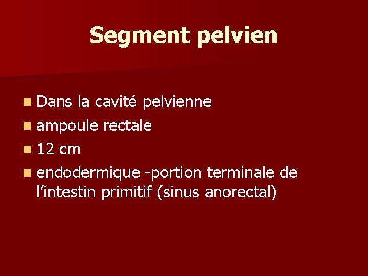Segment pelvien n Dans la cavité pelvienne n ampoule rectale n 12 cm n