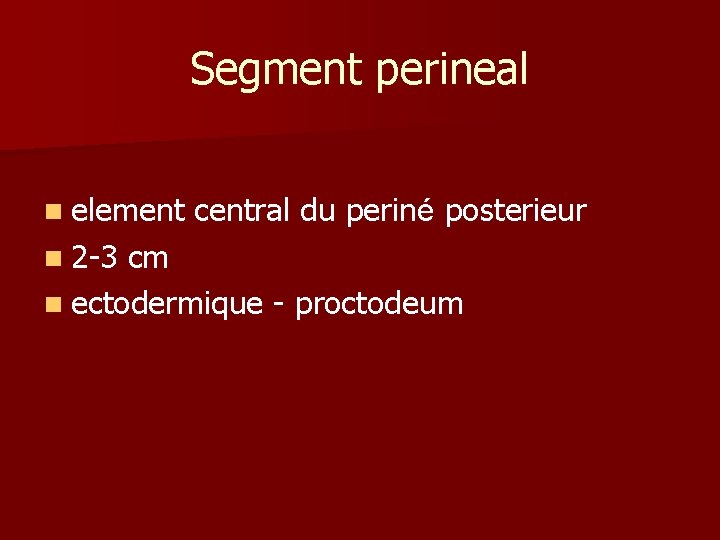 Segment perineal n element n 2 -3 central du periné posterieur cm n ectodermique