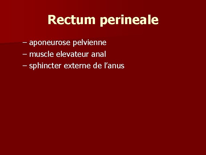 Rectum perineale – aponeurose pelvienne – muscle elevateur anal – sphincter externe de l’anus