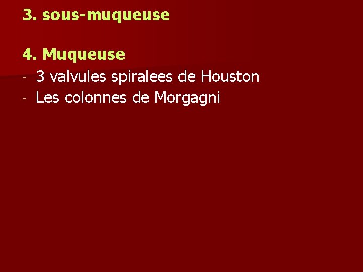 3. sous-muqueuse 4. Muqueuse - 3 valvules spiralees de Houston - Les colonnes de