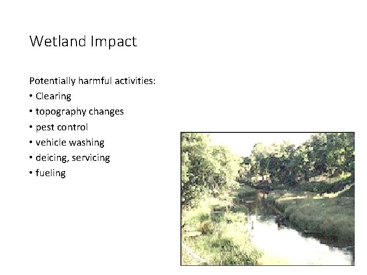 Wetland Impact Potentially harmful activities: • Clearing • topography changes • pest control •