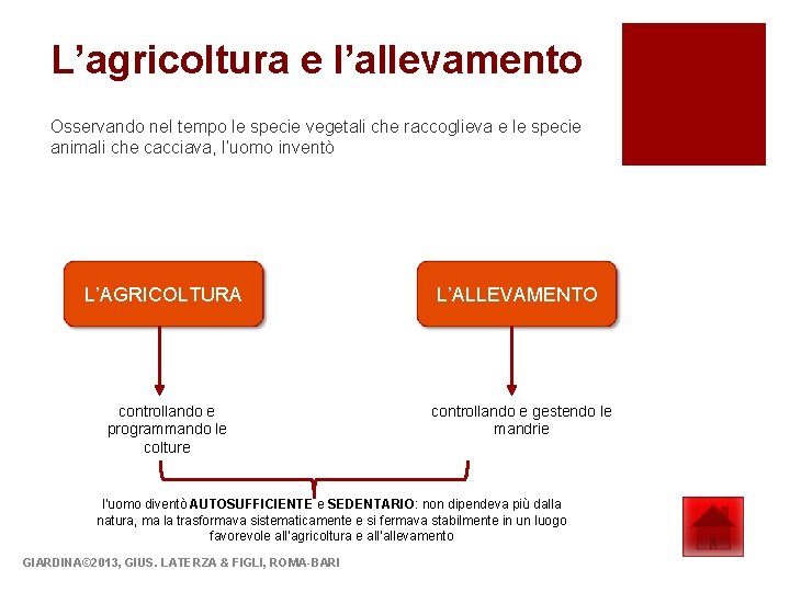 L’agricoltura e l’allevamento Osservando nel tempo le specie vegetali che raccoglieva e le specie L’agricoltura e l’allevamento Osservando nel tempo le specie vegetali che raccoglieva e le specie
