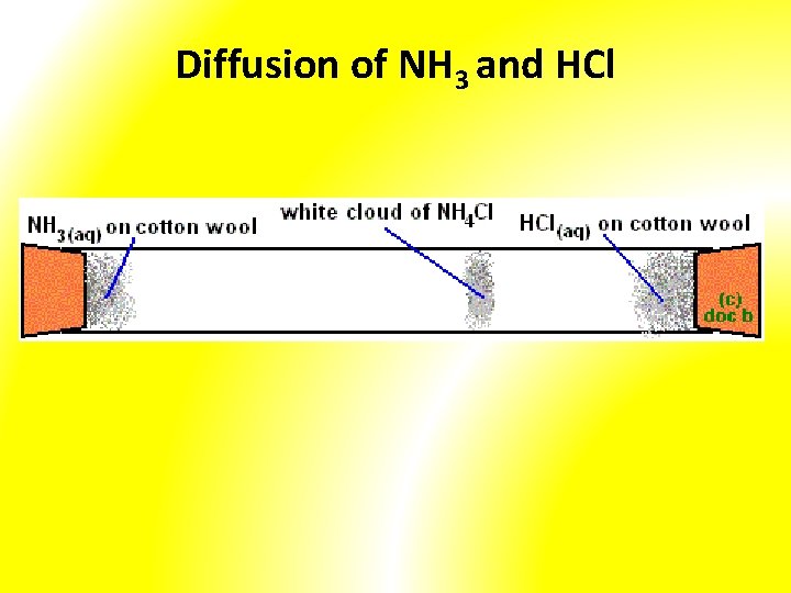 Diffusion of NH 3 and HCl 