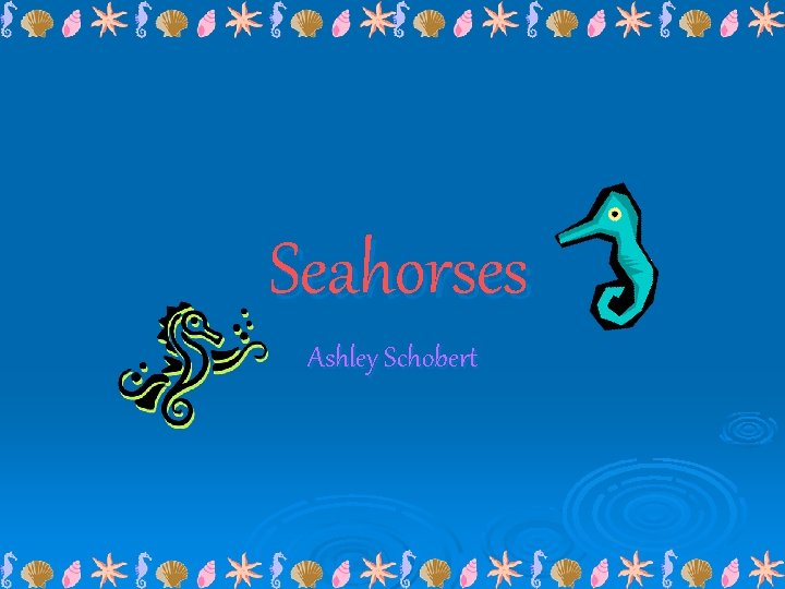 Seahorses Ashley Schobert 