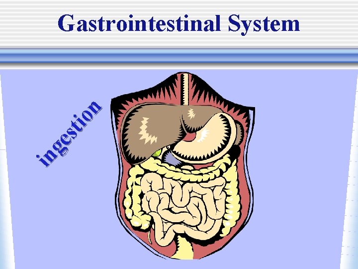 in ge st i on Gastrointestinal System 