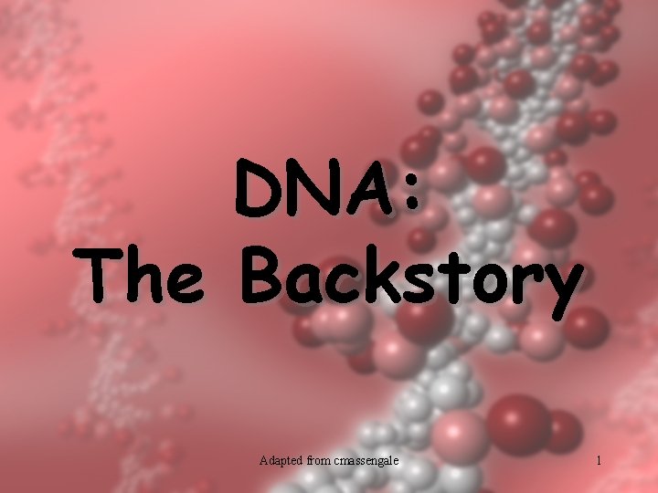 DNA: The Backstory Adapted from cmassengale 1 