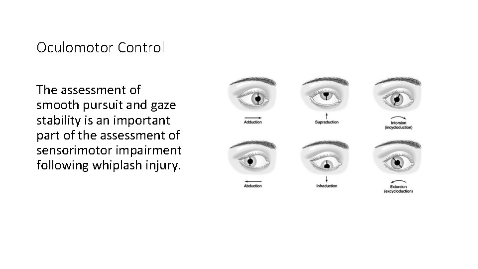Oculomotor Control The assessment of smooth pursuit and gaze stability is an important part Oculomotor Control The assessment of smooth pursuit and gaze stability is an important part