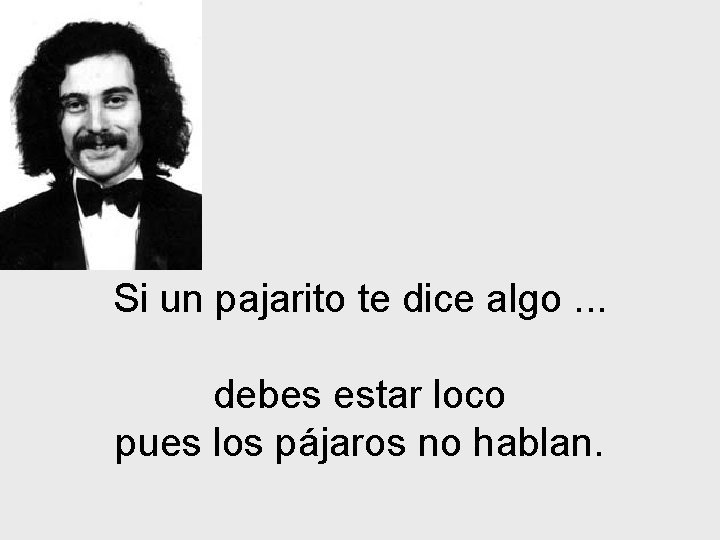 Si un pajarito te dice algo. . . debes estar loco pues los pájaros
