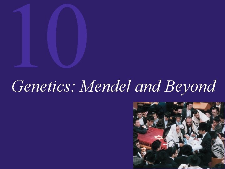 10 Genetics: Mendel and Beyond 