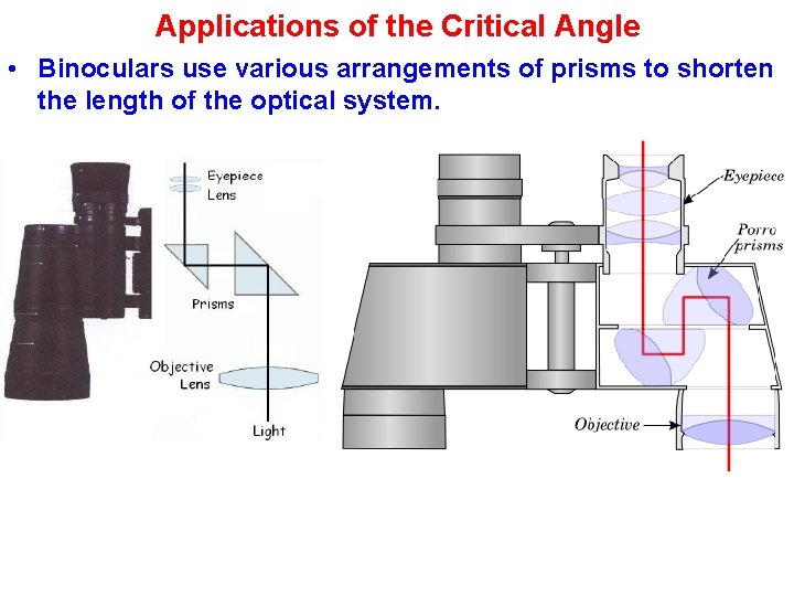 Applications of the Critical Angle • Binoculars use various arrangements of prisms to shorten