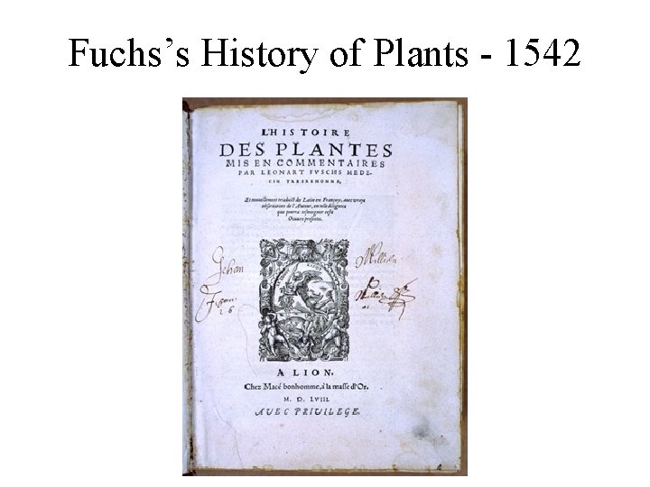 Fuchs’s History of Plants - 1542 