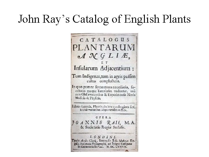 John Ray’s Catalog of English Plants 