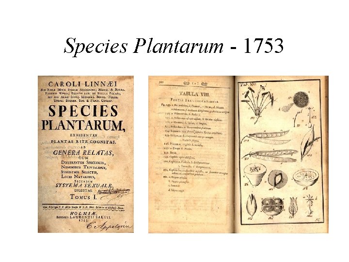 Species Plantarum - 1753 