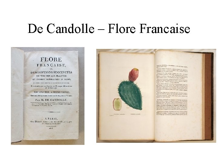 De Candolle – Flore Francaise 