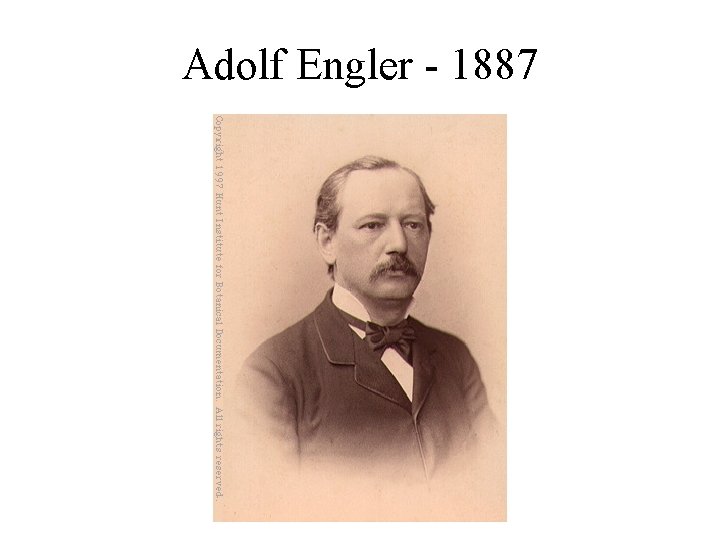 Adolf Engler - 1887 