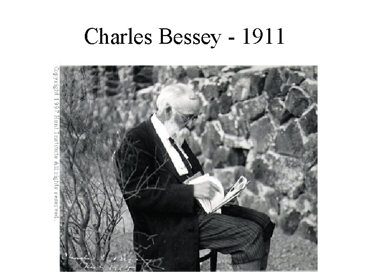 Charles Bessey - 1911 