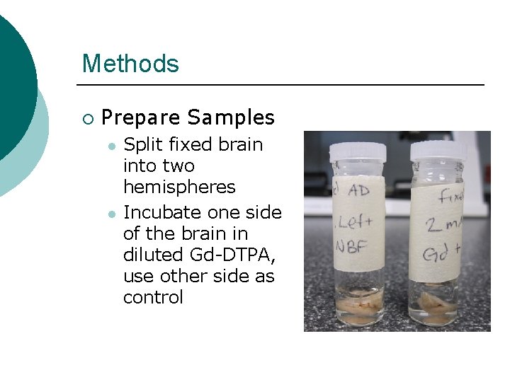 Methods ¡ Prepare Samples l l Split fixed brain into two hemispheres Incubate one