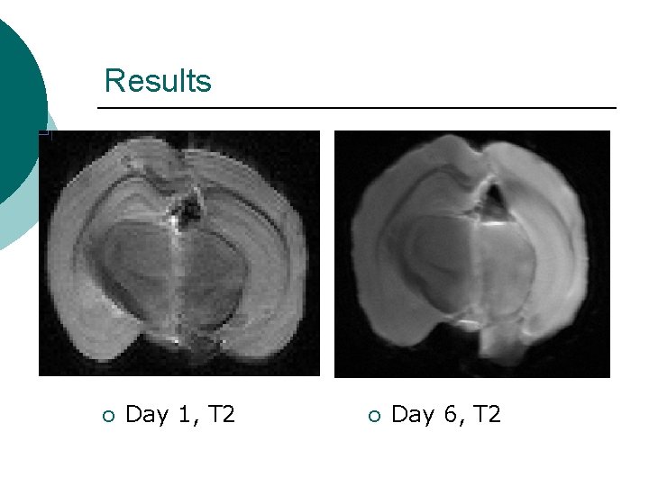 Results ¡ Day 1, T 2 ¡ Day 6, T 2 