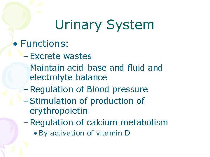 Urinary System • Functions: – Excrete wastes – Maintain acid-base and fluid and electrolyte