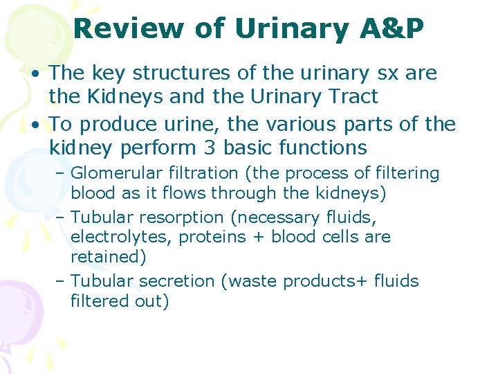 Review of Urinary A&P • The key structures of the urinary sx are the