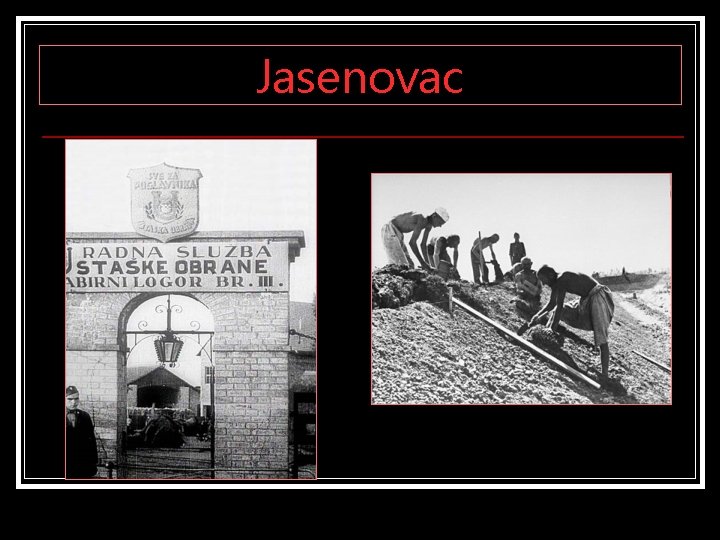 Jasenovac 