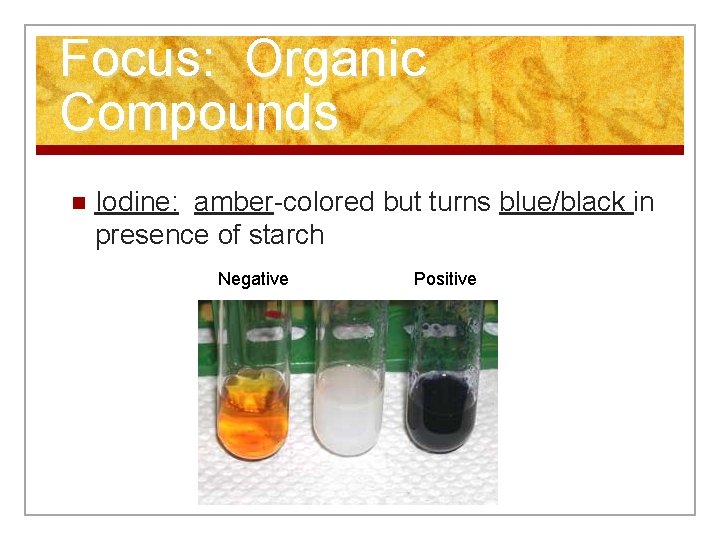 Focus: Organic Compounds n Iodine: amber-colored but turns blue/black in presence of starch Negative