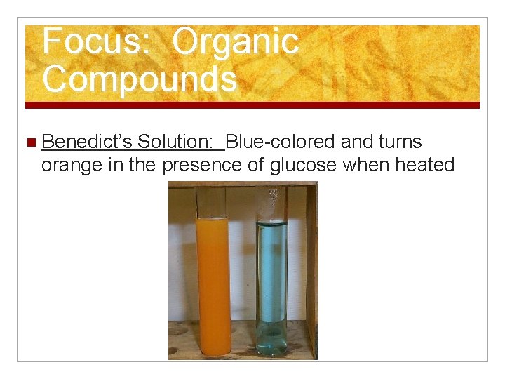 Focus: Organic Compounds n Benedict’s Solution: Blue-colored and turns orange in the presence of