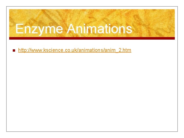 Enzyme Animations n http: //www. kscience. co. uk/animations/anim_2. htm 