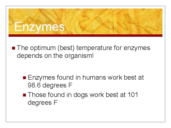 Enzymes n The optimum (best) temperature for enzymes depends on the organism! n Enzymes