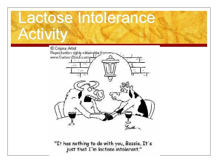 Lactose Intolerance Activity 
