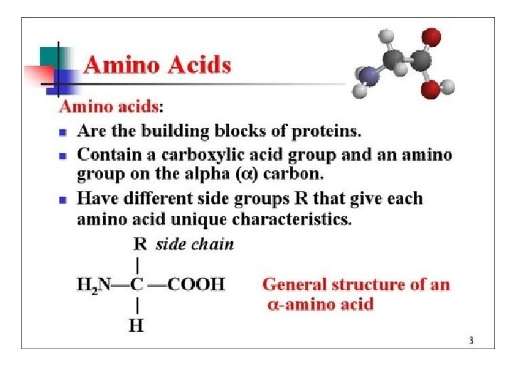 Amino Acids 