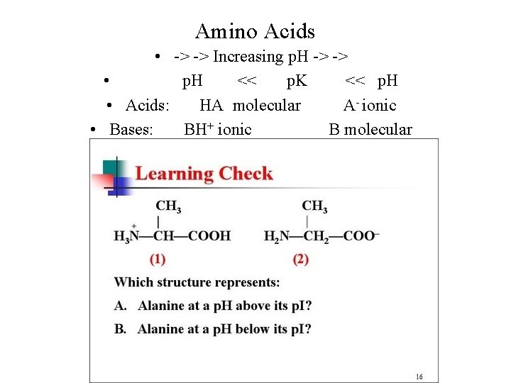 Amino Acids • -> -> Increasing p. H -> -> • p. H <<