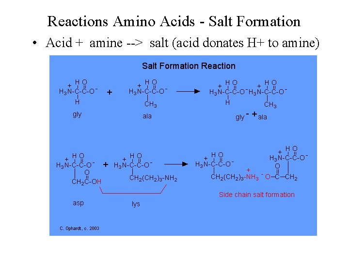 Reactions Amino Acids - Salt Formation • Acid + amine --> salt (acid donates