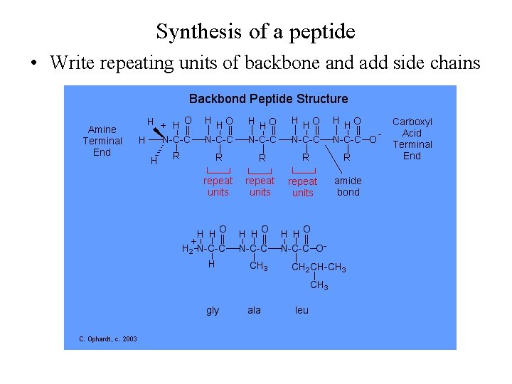 Synthesis of a peptide • Write repeating units of backbone and add side chains