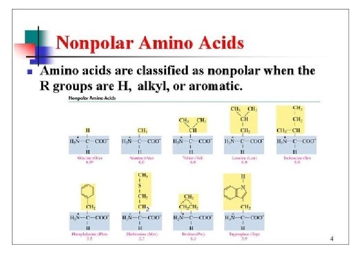 Amino Acids 