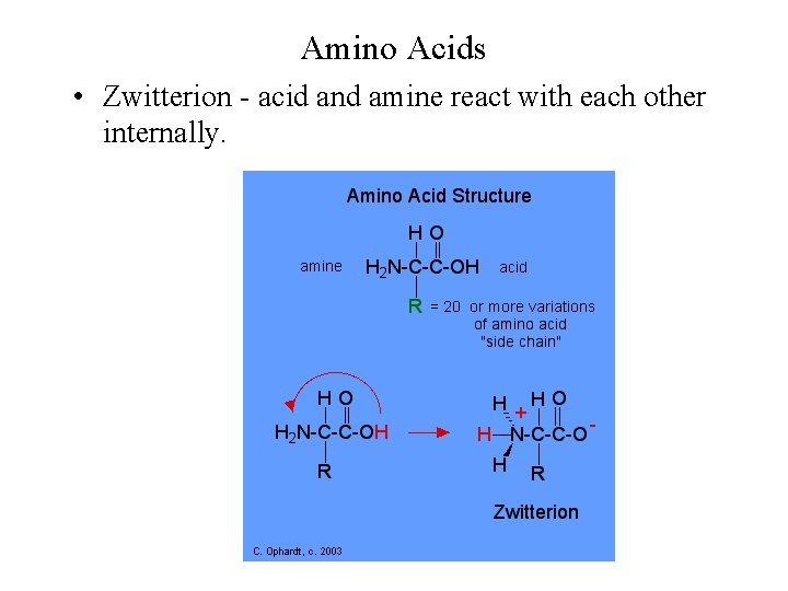Amino Acids • Zwitterion - acid and amine react with each other internally. 