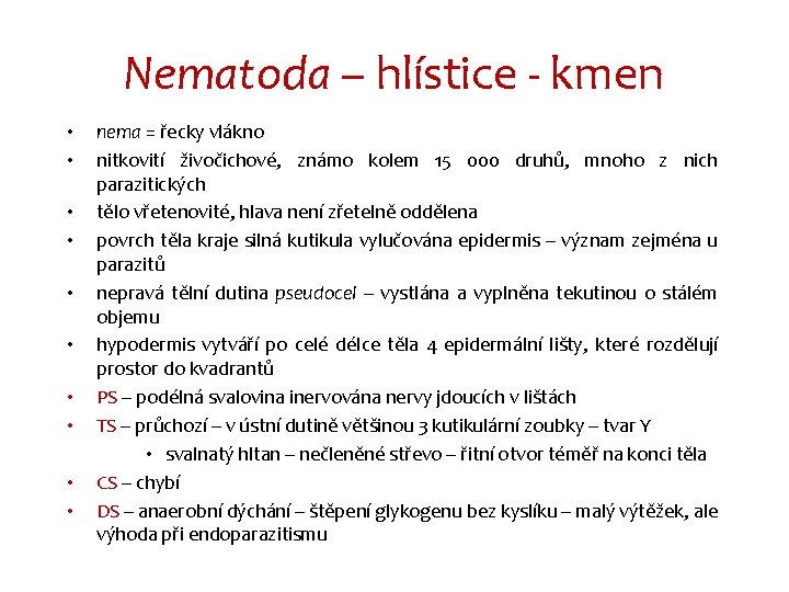 Nematoda – hlístice - kmen • • • nema = řecky vlákno nitkovití živočichové,