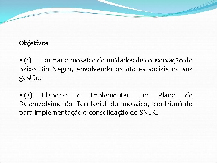 Objetivos • (1) Formar o mosaico de unidades de conservação do baixo Rio Negro,