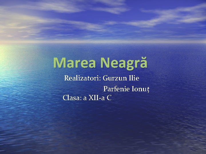 Marea Neagră Realizatori: Gurzun Ilie Parfenie Ionuț Clasa: a XII-a C 