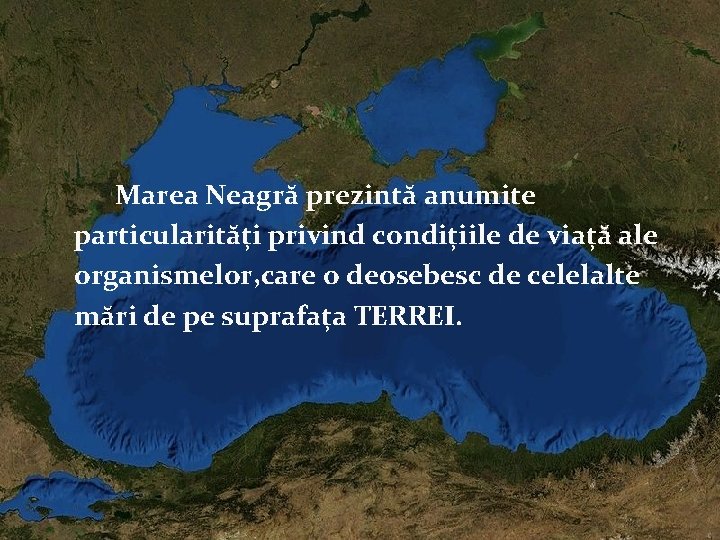 Marea Neagră prezintă anumite particularități privind condițiile de viață ale organismelor, care o deosebesc