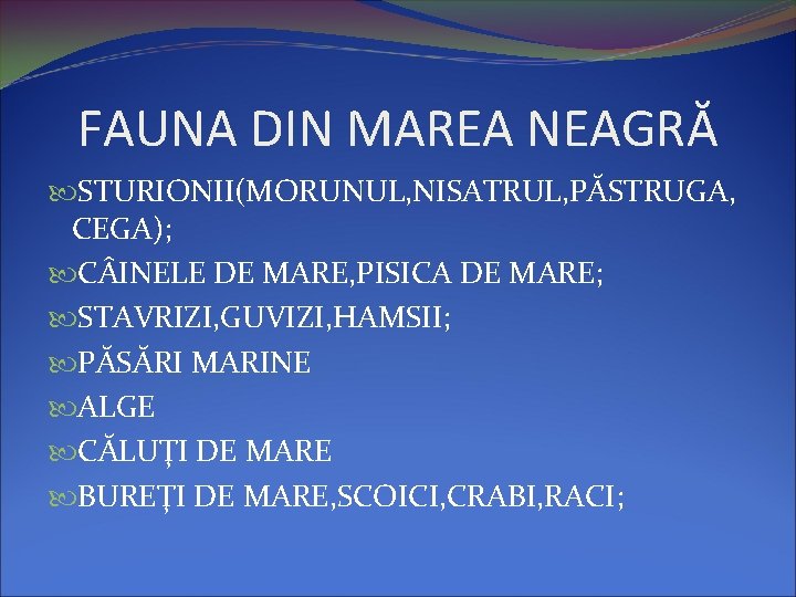 FAUNA DIN MAREA NEAGRĂ STURIONII(MORUNUL, NISATRUL, PĂSTRUGA, CEGA); C INELE DE MARE, PISICA DE