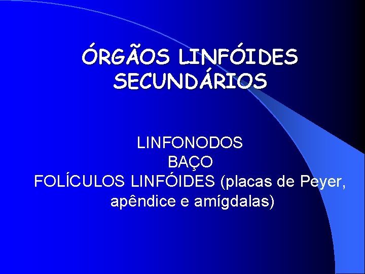 ÓRGÃOS LINFÓIDES SECUNDÁRIOS LINFONODOS BAÇO FOLÍCULOS LINFÓIDES (placas de Peyer, apêndice e amígdalas) 