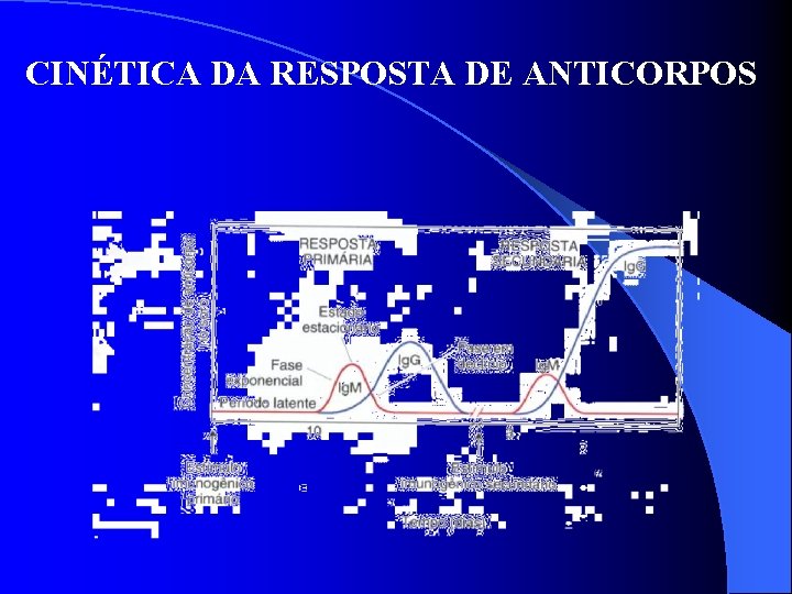 CINÉTICA DA RESPOSTA DE ANTICORPOS 