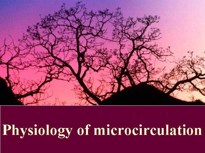 Physiology of microcirculation 