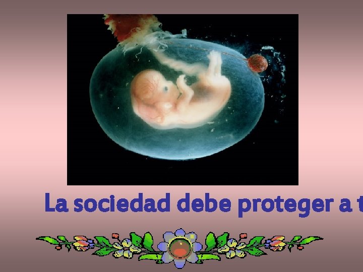 La sociedad debe proteger a t 