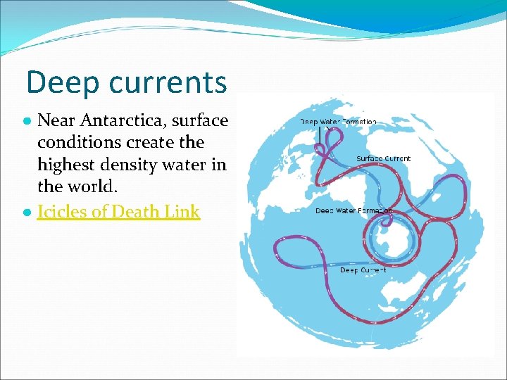 Deep currents ● Near Antarctica, surface conditions create the highest density water in the