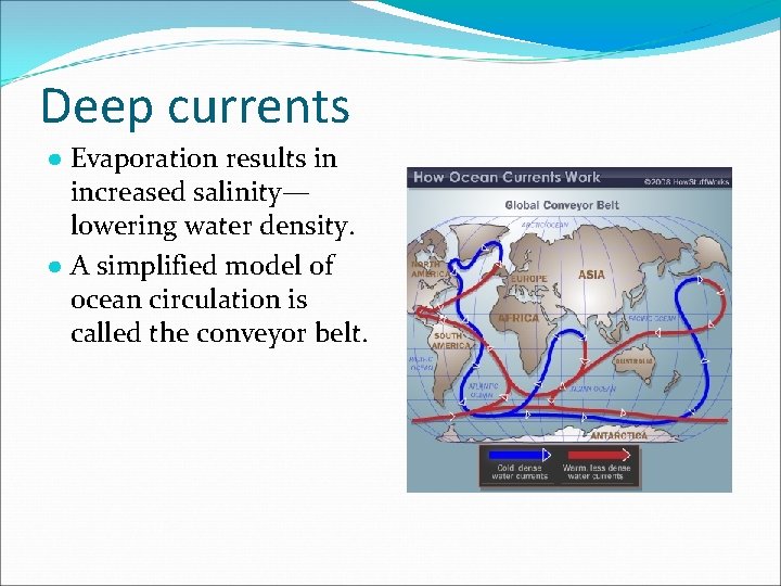 Deep currents ● Evaporation results in increased salinity— lowering water density. ● A simplified